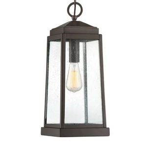 Quoizel RNL1908WT Ravenel Outdoor Pendant Ceiling Lighting, 1-Light